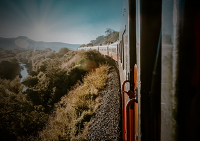 chepe_express_button